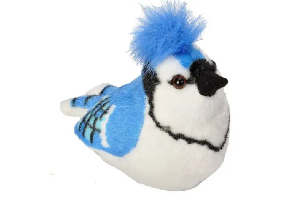 Audubon by WR Audubon Blue Jay Online