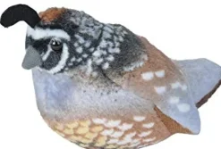 Audubon by WR Audubon California Quail Sale