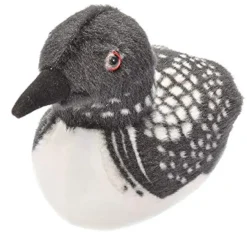 Audubon by WR Audubon Common Loon Fashion