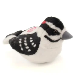 Audubon by WR Audubon Downy Woodpecker Discount