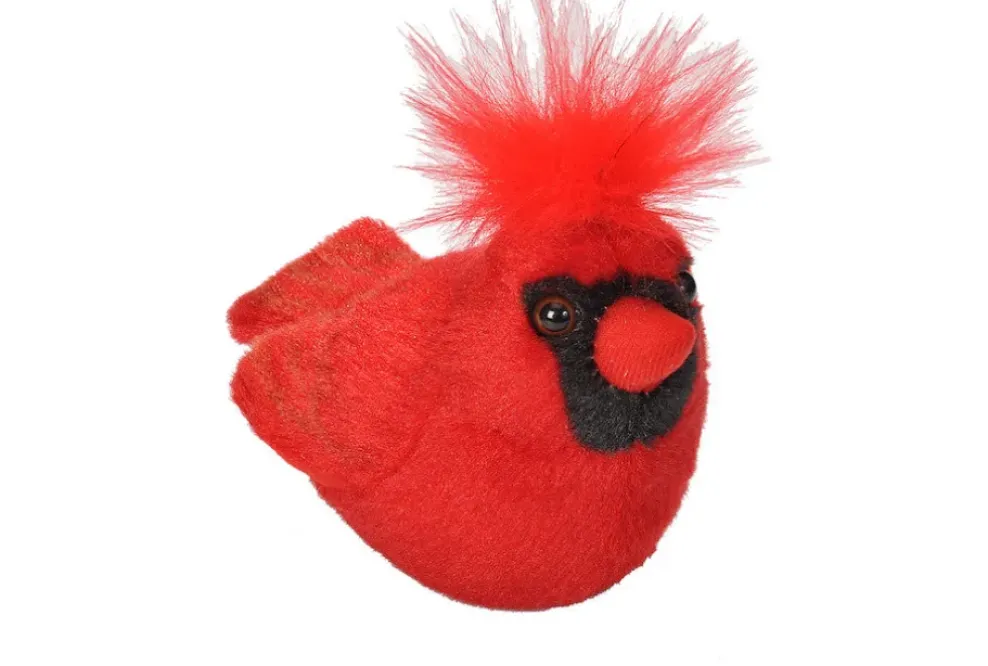 Audubon by WR Audubon Northern Cardinal Fashion