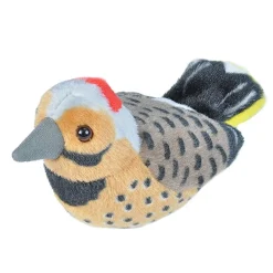 Audubon by WR Audubon Northern Flicker Fashion