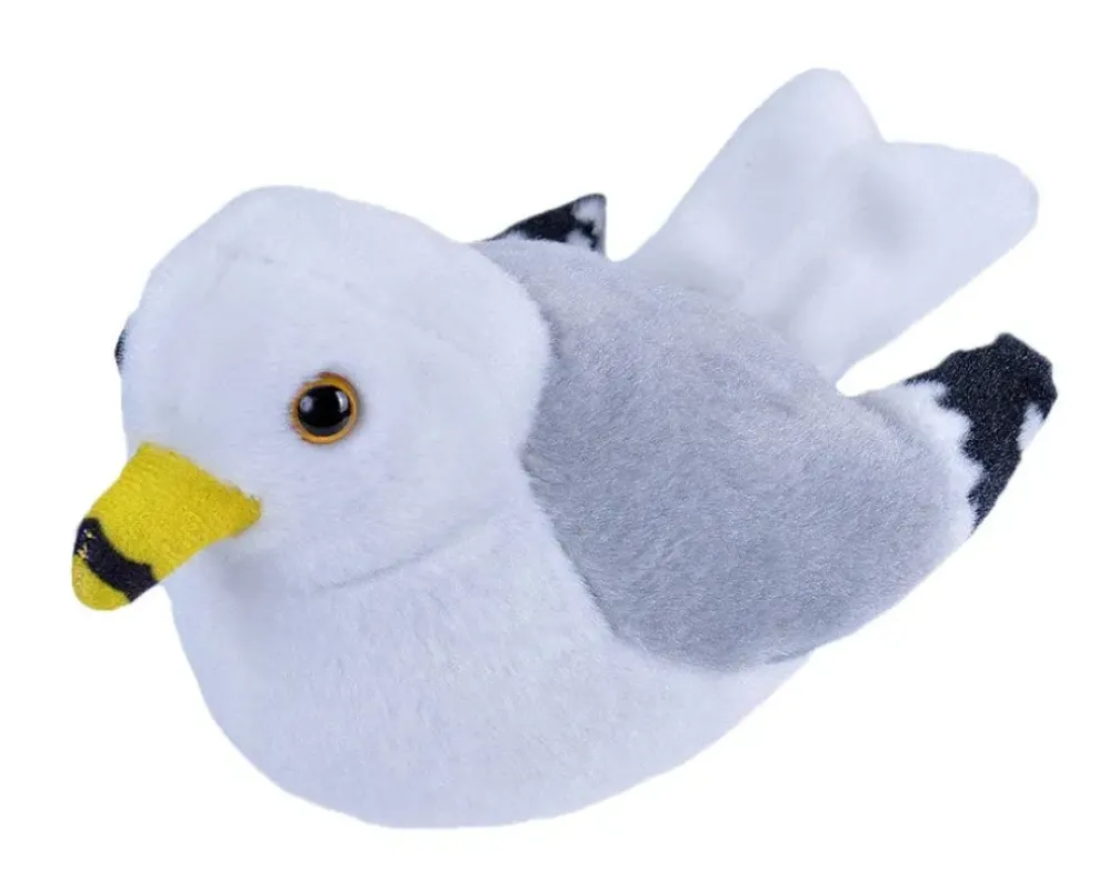 Audubon by WR Audubon Ring Billed Gull Fashion