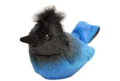 Audubon by WR Audubon Stellers Jay Sale