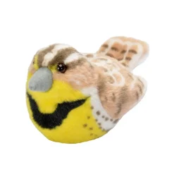 Audubon by WR Audubon Western Meadowlark Best