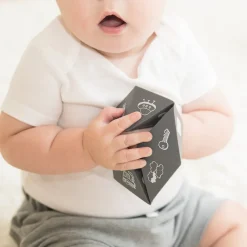 Bella Tunno Beginner Spinner Gray Sale