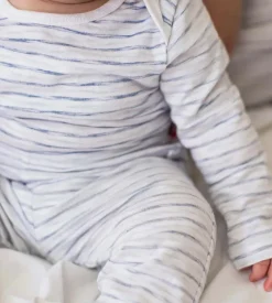 Burt's Bees Baby Burt's Bees Organic Baby Bodysuit Set Blue Slub Stripe Clearance