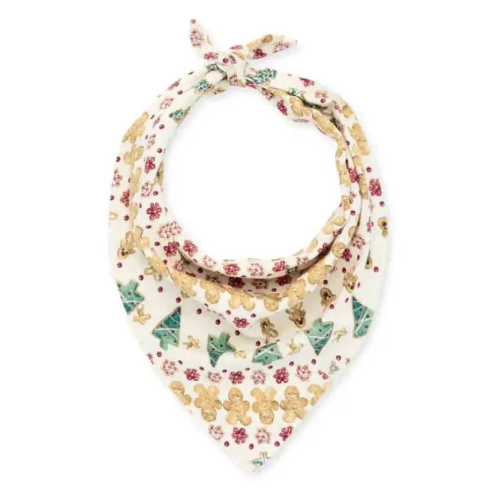 Burt's Bees Baby Burt's Bees Organic Family Pajamas Gingerbread Fair Isle Sale