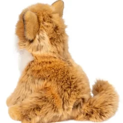 Douglas Dove Pomsky 9