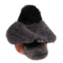 Douglas Melody Robin 6