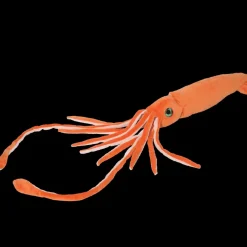 Douglas Stretch Squid 40" Best