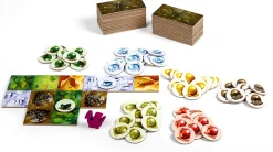 Blue Orange Games Dragomino: My First Kingdomino Hot