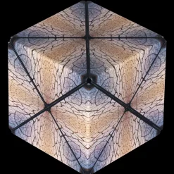 Fun in Motion Toys Duomoto: Parched Discount