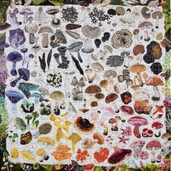 eeBoo 1000 Piece Puzzle Mushroom Rainbow Fashion