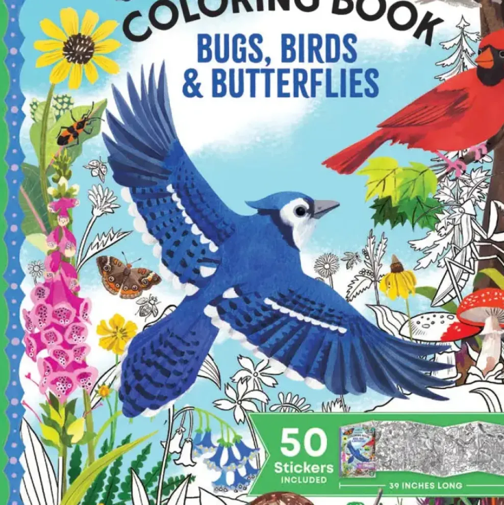 eeBoo Bugs, Birds & Butterflies Fold Out Coloring Book Online