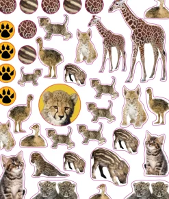 Hachette EyeLike Stickers: Baby Animals Discount