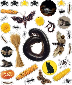 Hachette EyeLike Stickers: Halloween Outlet