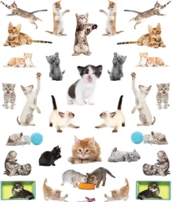 Hachette EyeLike Stickers: Kittens Online