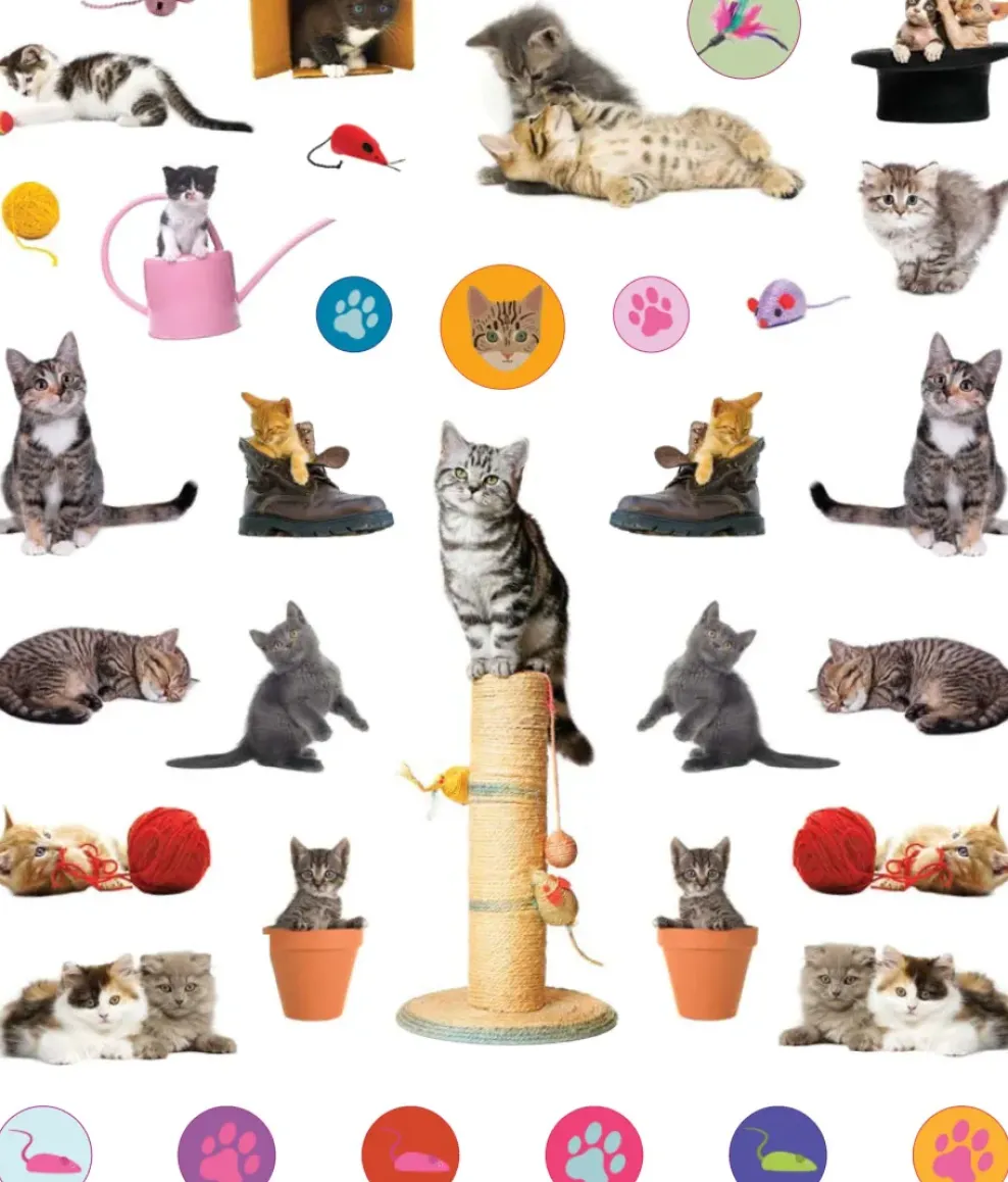 Hachette EyeLike Stickers: Kittens Online