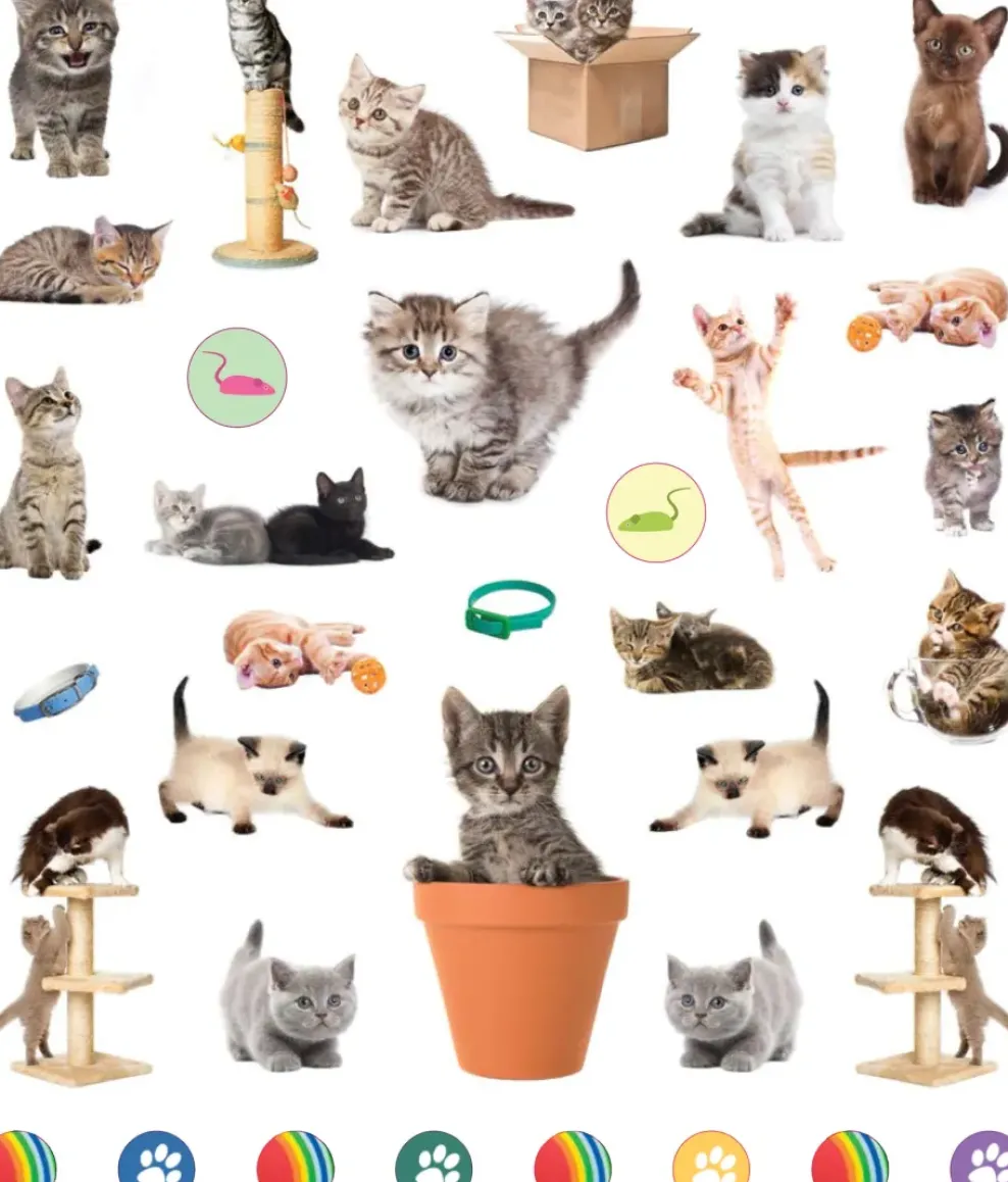 Hachette EyeLike Stickers: Kittens Online