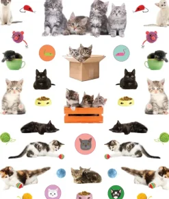 Hachette EyeLike Stickers: Kittens Online