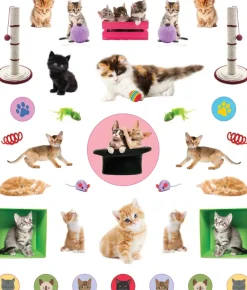 Hachette EyeLike Stickers: Kittens Online