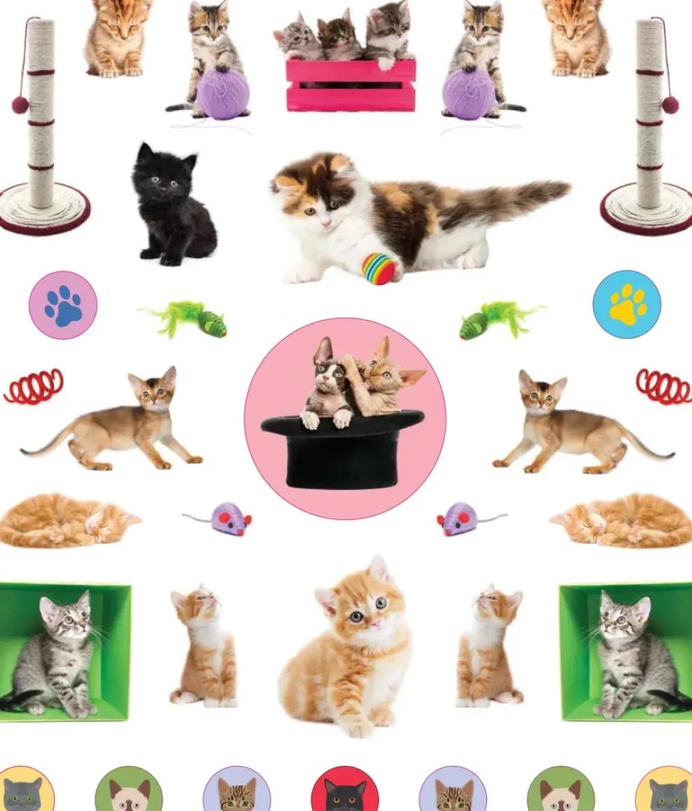 Hachette EyeLike Stickers: Kittens Online