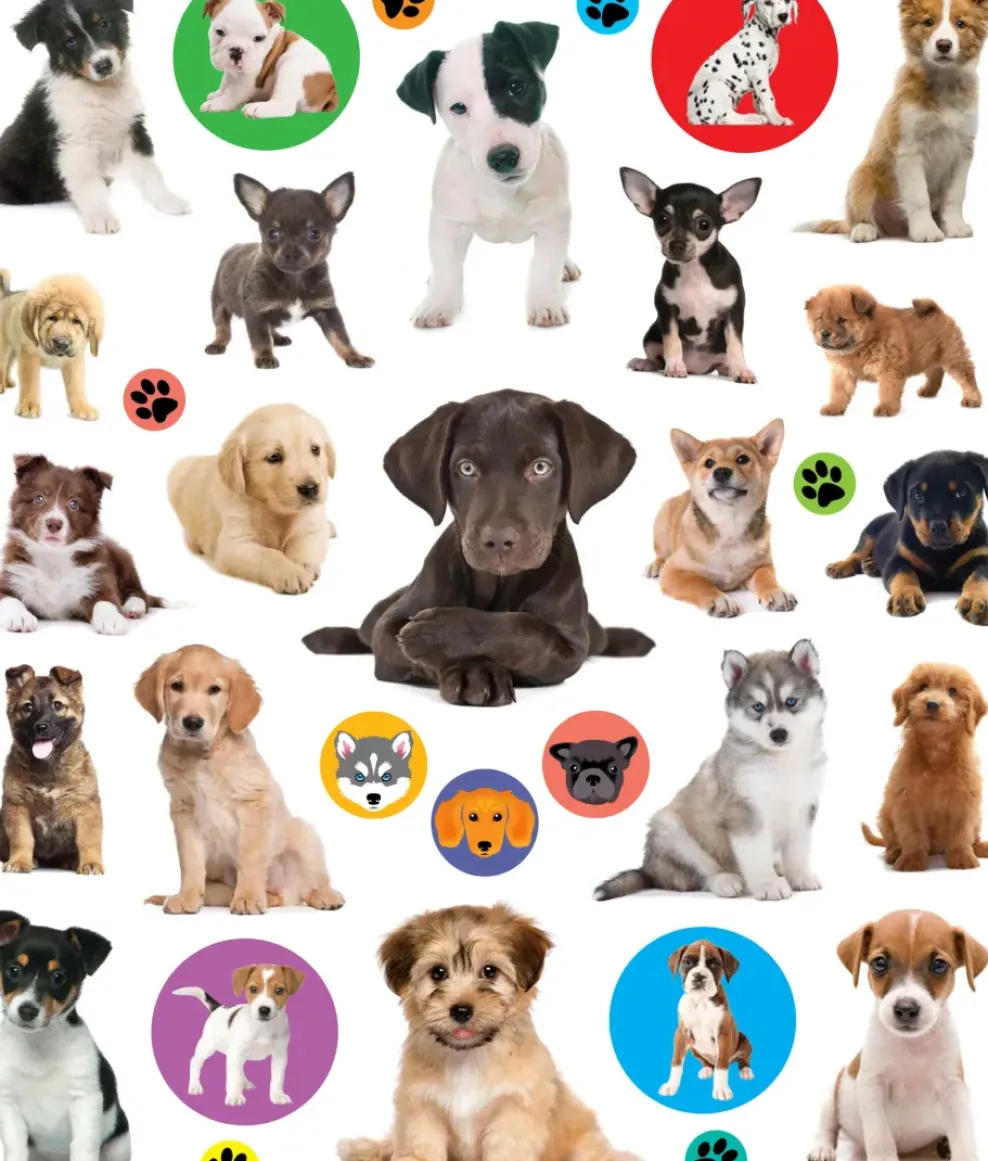 Hachette EyeLike Stickers: Puppies Fashion