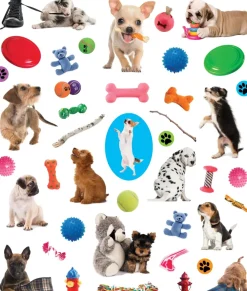 Hachette EyeLike Stickers: Puppies Fashion