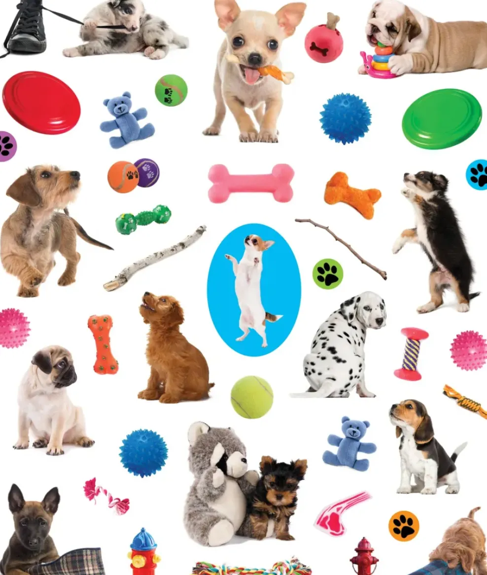 Hachette EyeLike Stickers: Puppies Fashion