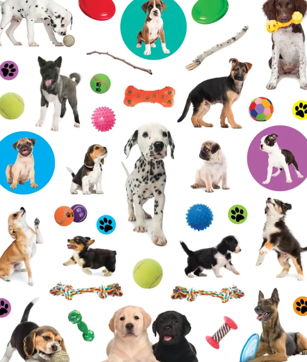 Hachette EyeLike Stickers: Puppies Fashion