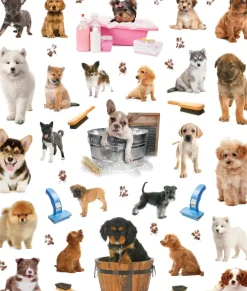 Hachette EyeLike Stickers: Puppies Fashion