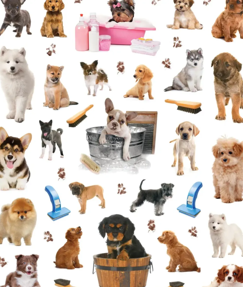 Hachette EyeLike Stickers: Puppies Fashion