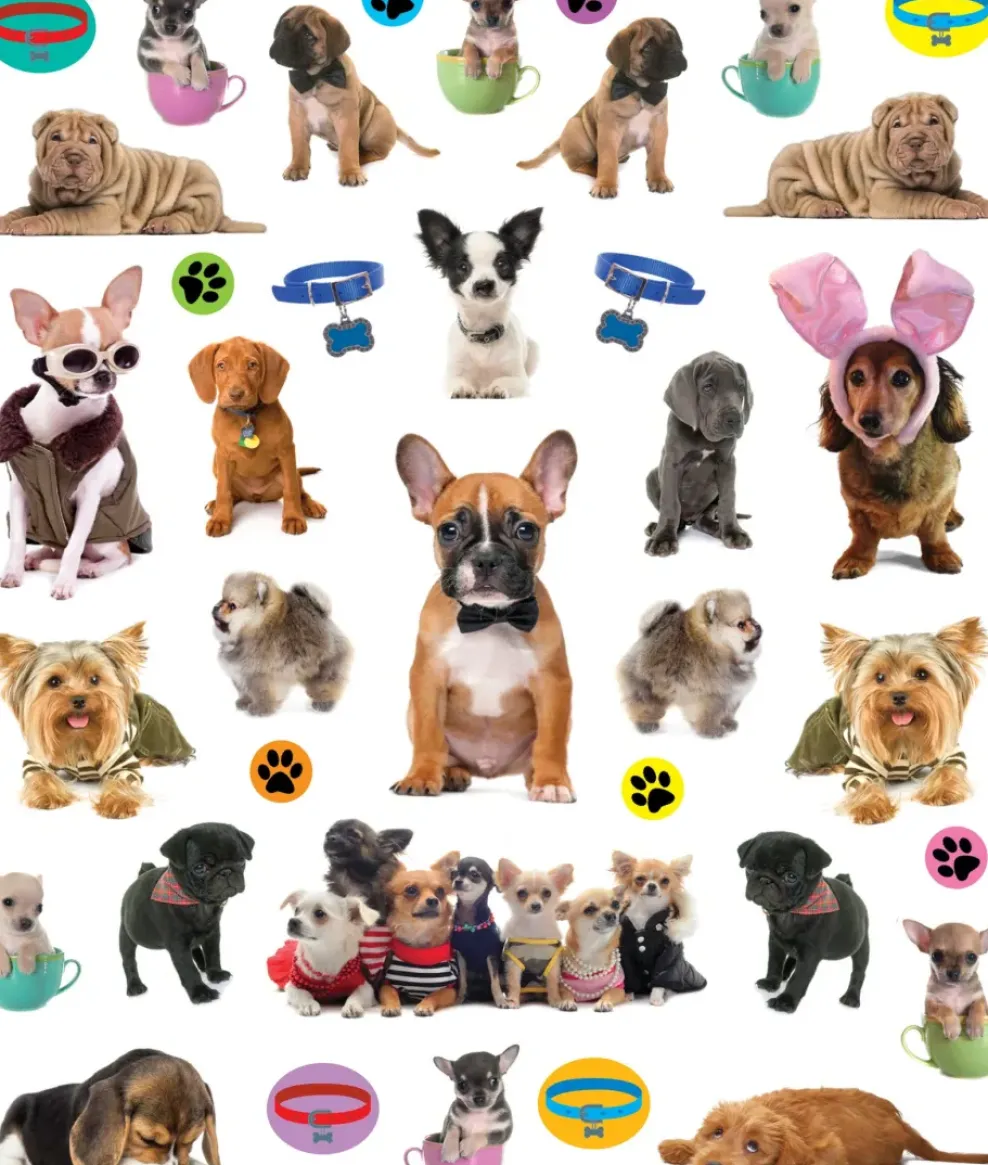 Hachette EyeLike Stickers: Puppies Fashion