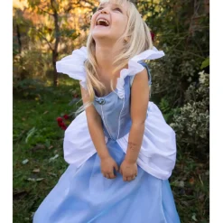 Creative Education of Canada Inc Great Pretenders Boutique Cinderella Gown Outlet