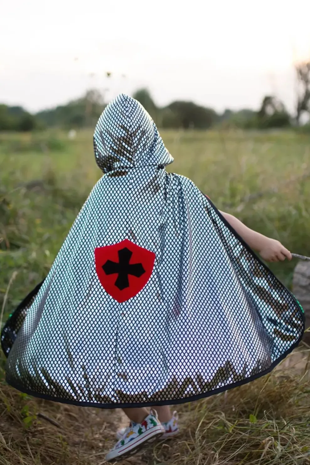 Creative Education of Canada Inc Great Pretenders Dragon Knight Reversible Cape Size 4/6 Best