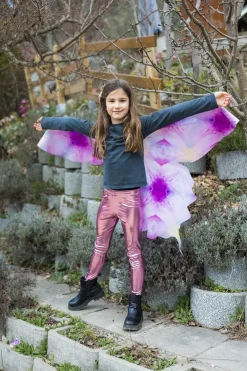 Creative Education of Canada Inc Great Pretenders Ombre Butterfly Soft Wings Size 4/6 Online