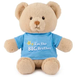 Gund "I'm the Big Brother Bear" Blue 12" Fashion