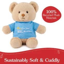Gund "I'm the Big Brother Bear" Blue 12" Fashion