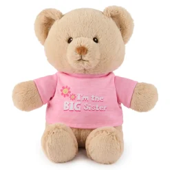 Gund "I'm the Big Sister Bear" Pink 12" Online
