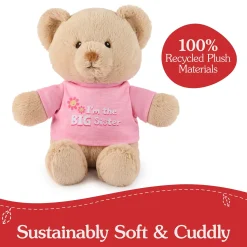 Gund "I'm the Big Sister Bear" Pink 12" Online