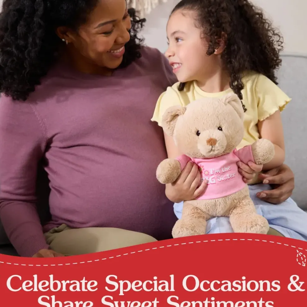 Gund "I'm the Big Sister Bear" Pink 12" Online