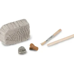 Heebie Jeebies Fossil Dig New