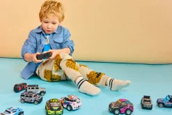 HST Rapid Rally Remote Control Cars Assorted Discount