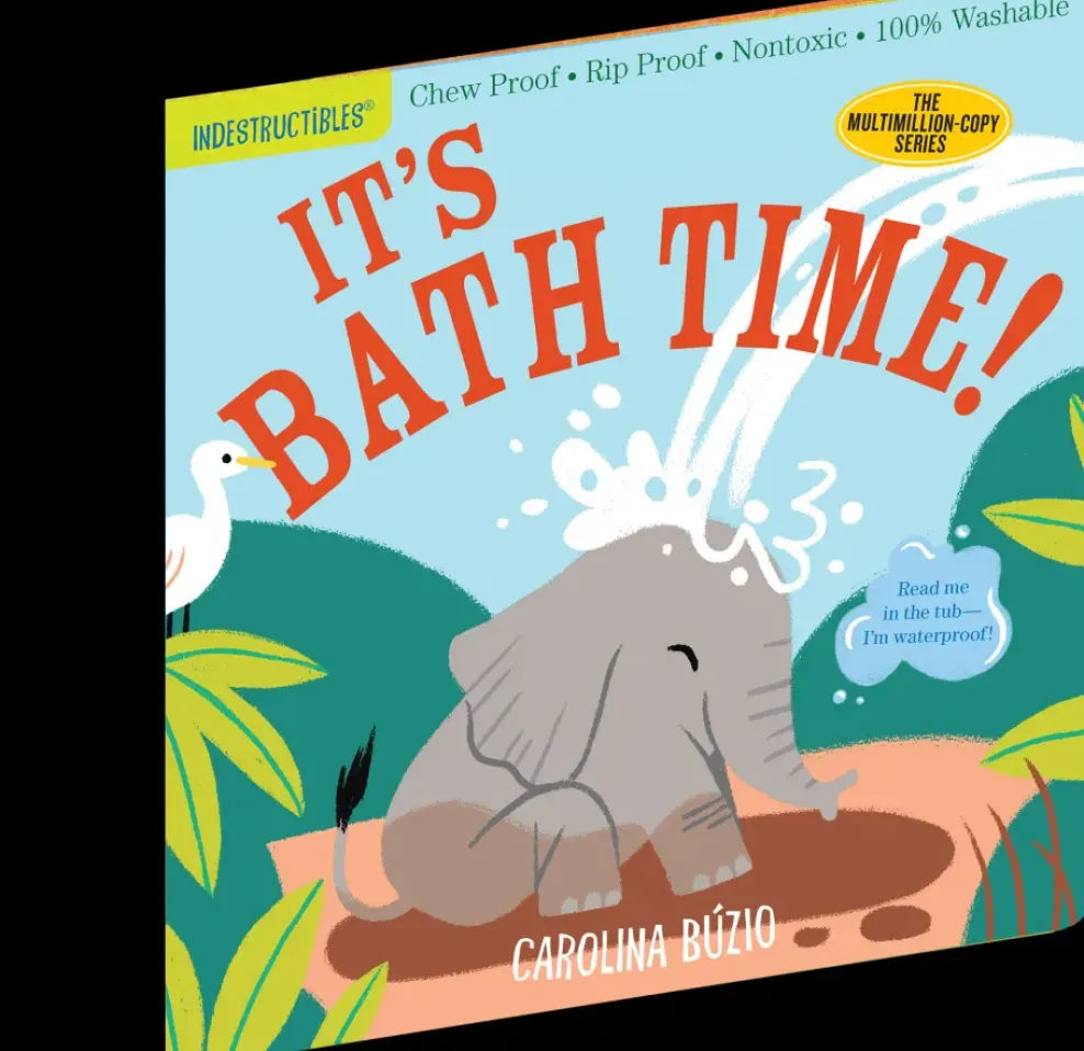 Hachette Indestructibles: It's Bath Time! New