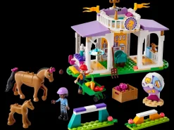 LEGO ® Friends Horse Training 41746 Outlet