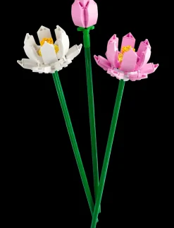 LEGO ® Lotus Flowers 40647 Online