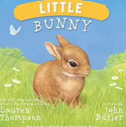 Simon & Shuster Little Bunny Clearance
