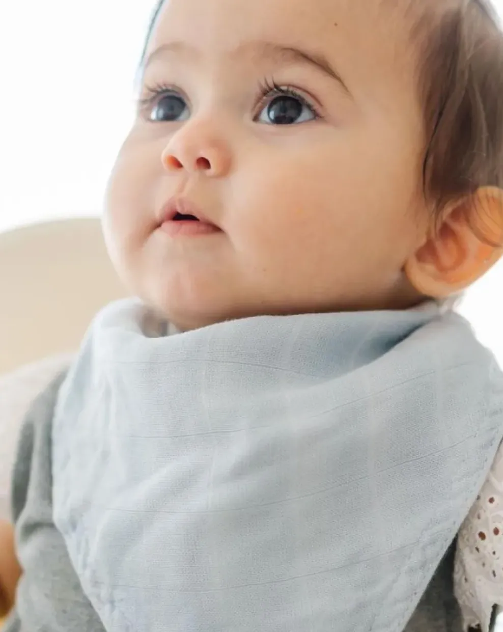 Little Unicorn Deluxe Muslin Reversible Bandana Bib Air Show Online