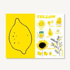 Chronicle Books Mr. Bear's Colors Fashion